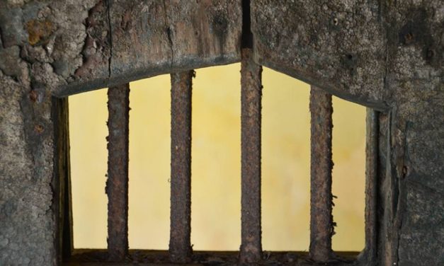 ಜೇಲಿನೊಳಗೂ ಒಂದು ಅಮೃತವಾಹಿನಿ:ದತ್ತಾತ್ರಿ ಲಹರಿ