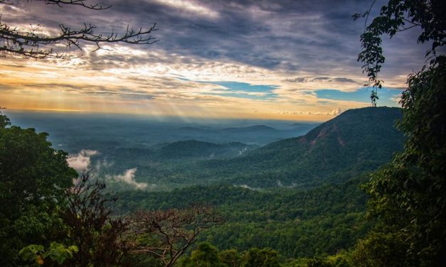 ಎಂ ಡಿ ಕಾರ್ತಿಕ್ ತೆಗೆದ ಪ್ರಕೃತಿ ಚಿತ್ರ
