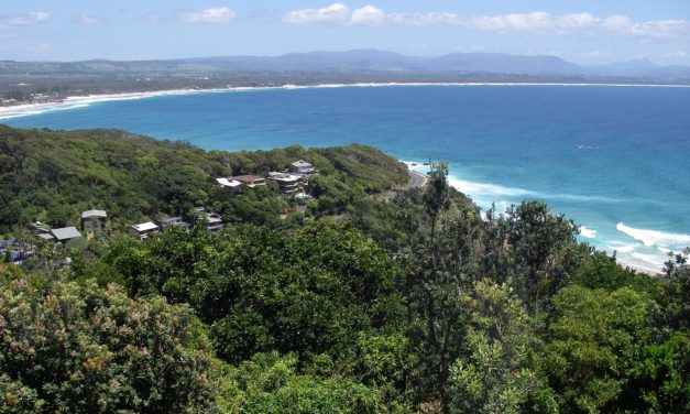 ಬ್ರಿಸ್ಬನ್ನಲ್ಲಿ ಕನಕಾಂಬರ:ವಿನತೆ ಶರ್ಮ ಅಂಕಣ