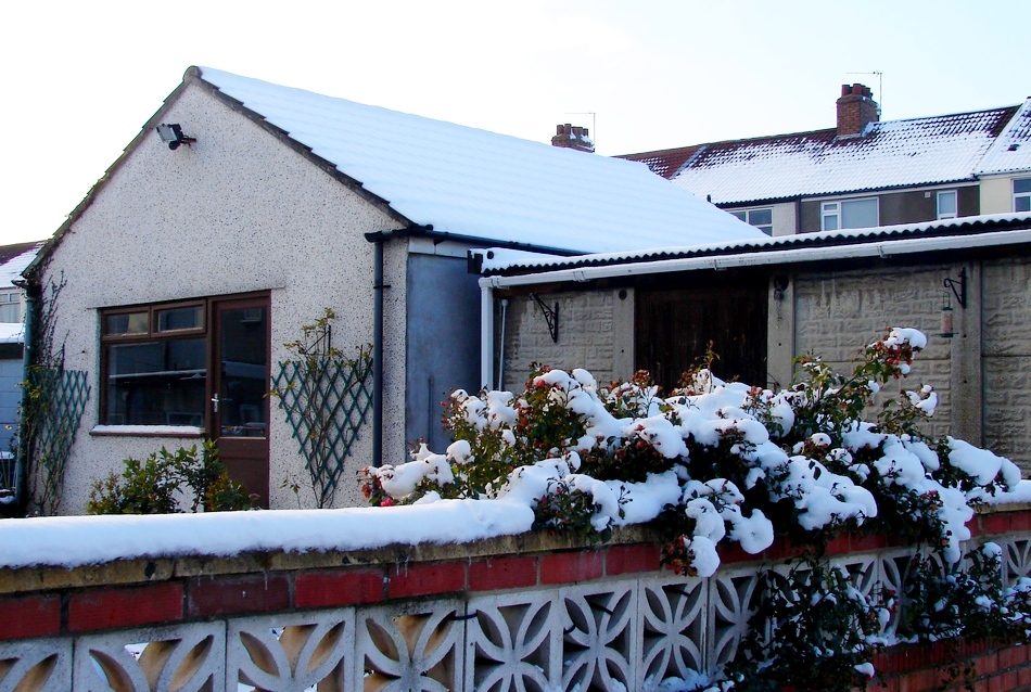 ಕನಸಾಗಿ ಹೋದ ಚಳಿ ಮುಸುಕಿದ ಹಿಮ ಸುರಿದ  ದಿನಗಳು