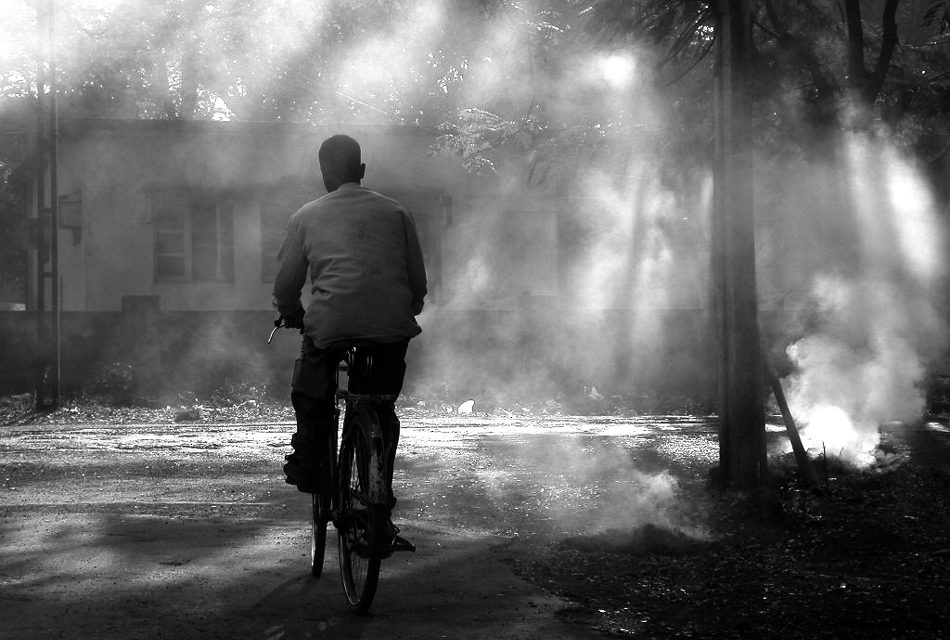 ಶ್ರೀವತ್ಸ ದೇಸಾಯಿ ತೆಗೆದ ಈ ದಿನದ ಚಿತ್ರ