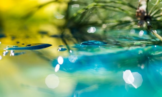 ದೀಪ್ತಿ ಶ್ರೀಹರ್ಷ ಬರೆದ ಎರಡು ಕವಿತೆಗಳು