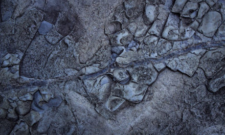 ಕಣ್ಣಿಗಿಲ್ಲದ ಕಾಣ್ಕೆ: ಕಮಲಾಕರ ಭಟ್ ಕಡವೆ ಬರೆದ ದಿನದ ಕವಿತೆ