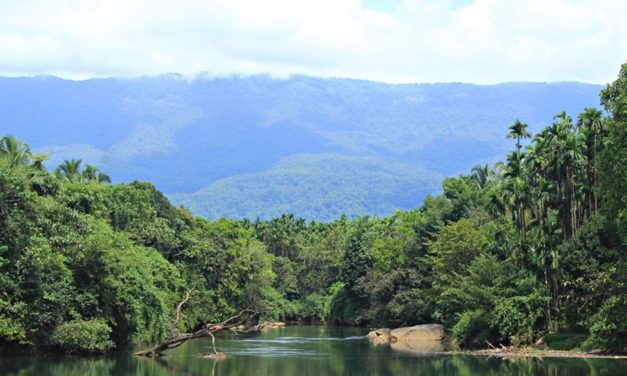 ಮಾಳಕ್ಕೆ ಬಸ್ಸು ಬಂದ ಪ್ರಸಂಗ:ಪ್ರಸಾದ್ ಶೆಣೈ ಕಥಾನಕ