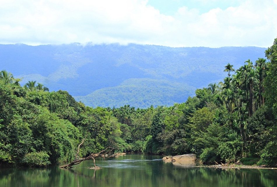 ಮಾಳಕ್ಕೆ ಬಸ್ಸು ಬಂದ ಪ್ರಸಂಗ:ಪ್ರಸಾದ್ ಶೆಣೈ ಕಥಾನಕ