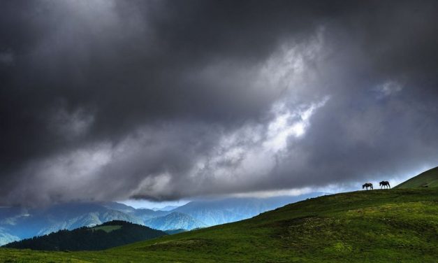 ದಿನೇಶ್ ಮಾನೀರ್ ತೆಗೆದ ಈ ದಿನದ ಚಿತ್ರ
