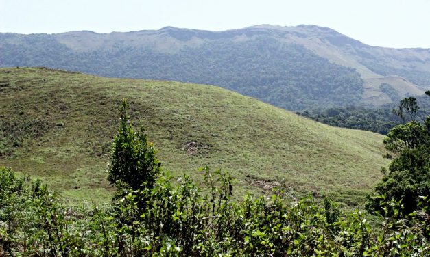 ತುಂಗೆ ಮತ್ತು ಭದ್ರೆಯ ಬಳುಕು:ಪ್ರಸಾದ್ ಶೆಣೈ ಕಥಾನಕ