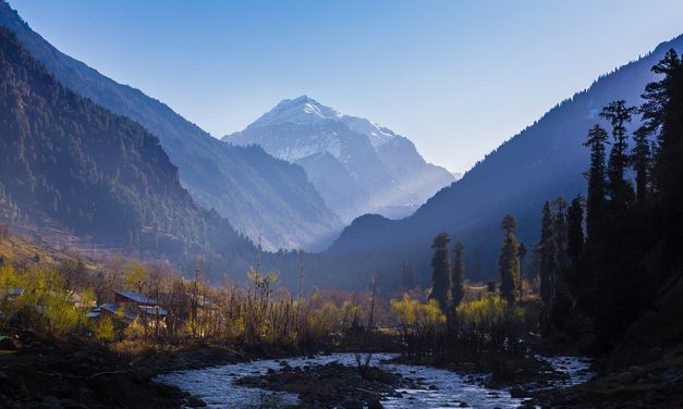 ಮಂಜುನಾಥ್ ಭಟ್ ತೆಗೆದ ಈ ದಿನದ ಚಿತ್ರ