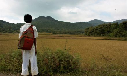 ಮಾವಿನ ಮರದ ಬ್ರಹ್ಮರಾಕ್ಷಸ:ಮುನವ್ವರ್ ಬರೆಯುವ ಪರಿಸರದ ಕಥೆಗಳು