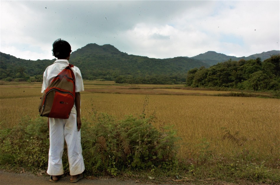 ಮಾವಿನ ಮರದ ಬ್ರಹ್ಮರಾಕ್ಷಸ:ಮುನವ್ವರ್ ಬರೆಯುವ ಪರಿಸರದ ಕಥೆಗಳು