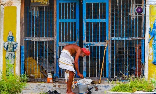 ಅಮೀನ್ ಅತ್ತಾರ ತೆಗೆದ ಈ ದಿನದ ಚಿತ್ರ