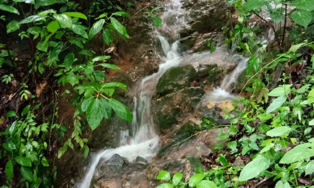 ನಿಂತ ಕೆರೆಯಲ್ಲಿ ನೋಡಲು ಏನುಂಟು ಏನಿಲ್ಲ!