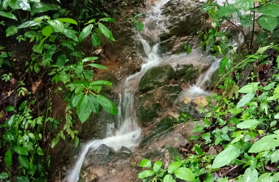 ನಿಂತ ಕೆರೆಯಲ್ಲಿ ನೋಡಲು ಏನುಂಟು ಏನಿಲ್ಲ!