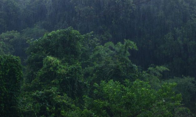 ಕೇಶವ ಡೋಂಗ್ರೆಯವರು ಮಹಾನಗರವನ್ನು ಪರಿತ್ಯಜಿಸಿ ಬಂದ ಪ್ರಸಂಗ