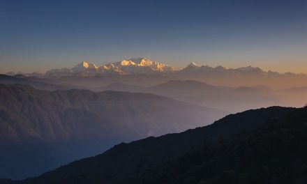 ಮಂಜುನಾಥ್ ಭಟ್ ತೆಗೆದ ಈ ದಿನದ ಚಿತ್ರ