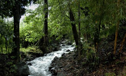 ನೀರೊಳಗೂ ಇರುವ ಮೀನು ಮಣ್ಣೊಳಗೂ ಸಿಗುವ ಮೀನು