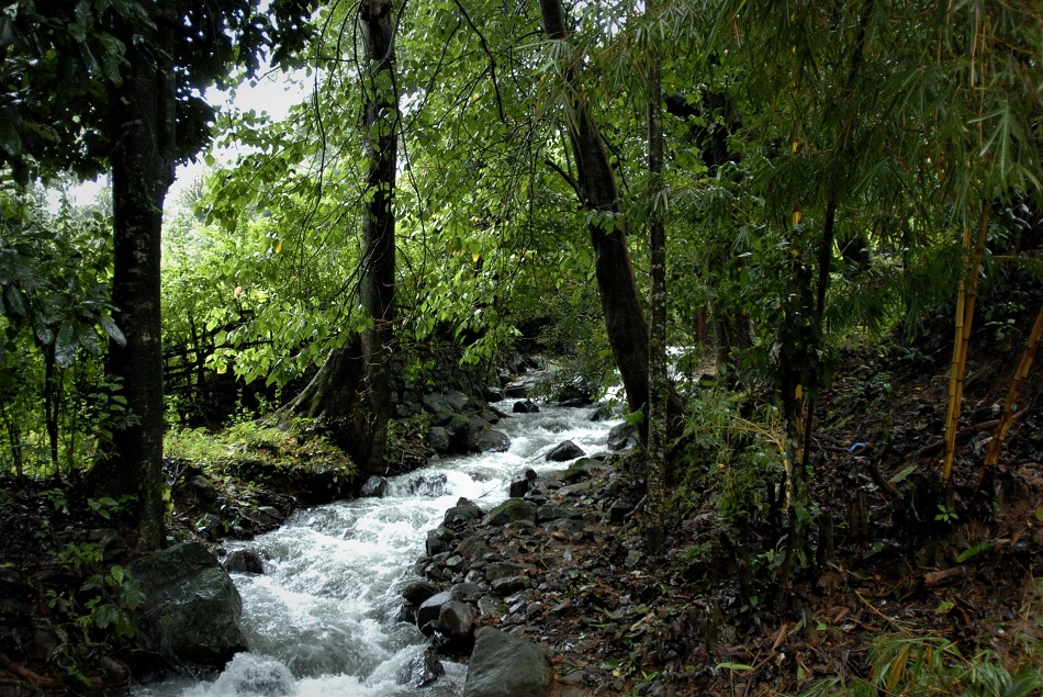 ನೀರೊಳಗೂ ಇರುವ ಮೀನು ಮಣ್ಣೊಳಗೂ ಸಿಗುವ ಮೀನು