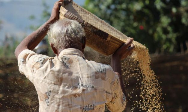 ಅರ್ಚನಾ ಖ್ಯಾಡಿ ತೆಗೆದ ಈ ದಿನದ ಚಿತ್ರ.