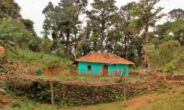 ಇದ್ದದ್ದ ಕೆಡವಿ ಸಲ್ಲದ್ದ ಕಟ್ಟುವವರು:ರೂಪಶ್ರೀ ಅಂಕಣ