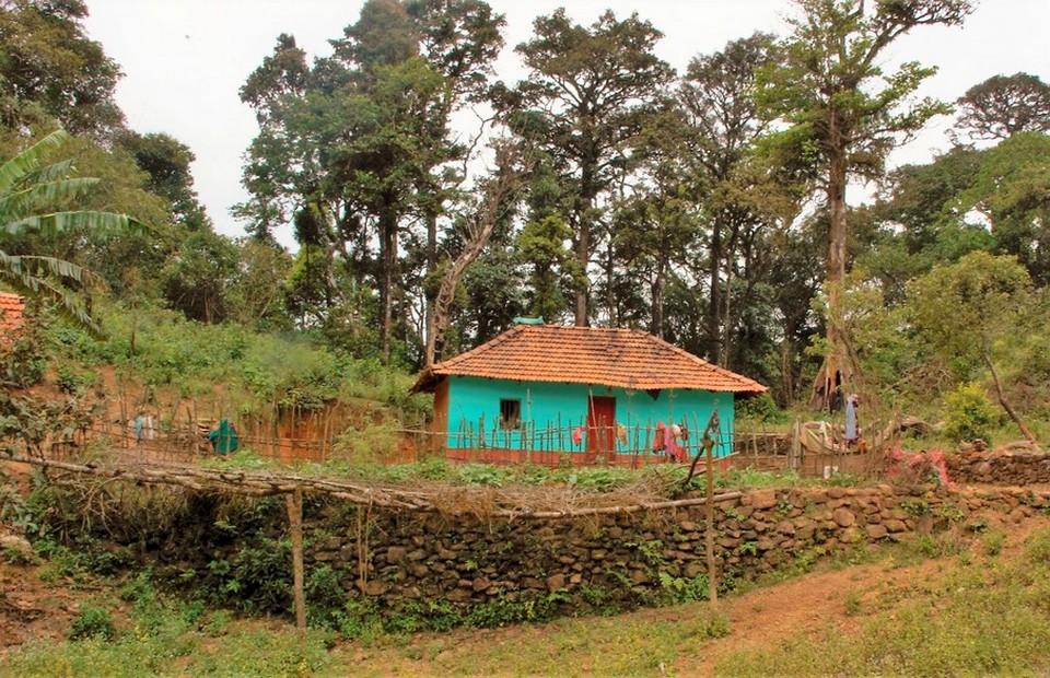 ಇದ್ದದ್ದ ಕೆಡವಿ ಸಲ್ಲದ್ದ ಕಟ್ಟುವವರು:ರೂಪಶ್ರೀ ಅಂಕಣ