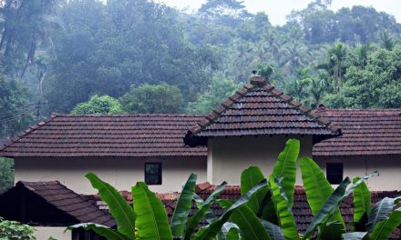 ದುರ್ಗ ದೇವರ ಕಾಡಲ್ಲಿ ಮಗುವಿನಂತಹ ಸಾಯಂಕಾಲ:ಪ್ರಸಾದ್ ಶೆಣೈ ಕಥಾನಕ