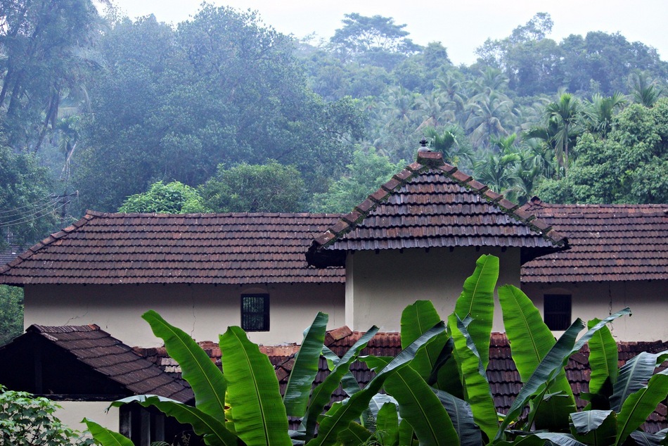 ದುರ್ಗ ದೇವರ ಕಾಡಲ್ಲಿ ಮಗುವಿನಂತಹ ಸಾಯಂಕಾಲ:ಪ್ರಸಾದ್ ಶೆಣೈ ಕಥಾನಕ