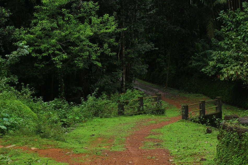 ಮಲೆಬೆಟ್ಟುವಿನಲ್ಲಿ ಮಳೆ ಬಿದ್ದ ಇರುಳು:ಪ್ರಸಾದ್ ಶೆಣೈ ಕಥಾನಕ