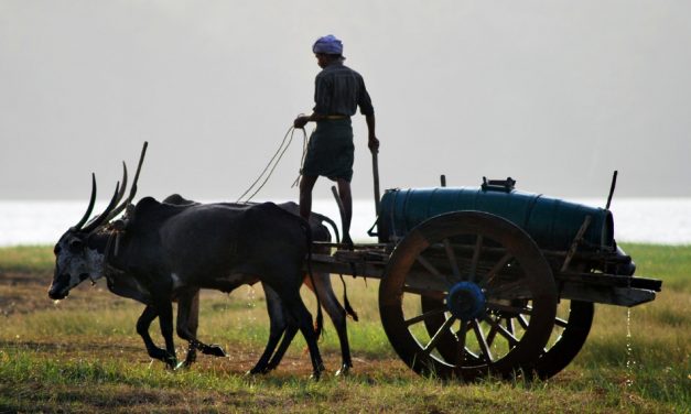 ಅಶ್ವಥ ಕೆ.ಎನ್ ತೆಗೆದ ಈ ದಿನದ ಚಿತ್ರ