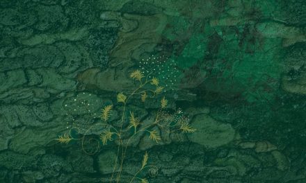 ಪ್ರಕಾಶ್ ಪೊನ್ನಾಚಿ ಬರೆದ ಹೊಸ ಕವಿತೆ