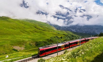 ಹರ್ಷ ತೆಗೆದ ಈ ದಿನದ ಚಿತ್ರ.