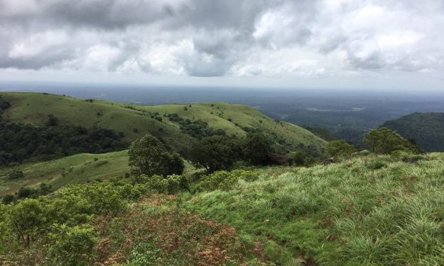 ಅಭಿಷೇಕ್ ಉತ್ತಪ್ಪ ತೆಗೆದ ಈ ದಿನದ ಚಿತ್ರ