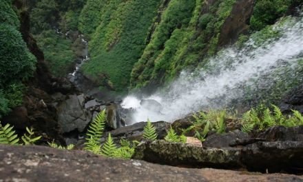 ನಾವೇ ಅರಿಯದ ಬಳಿಯ ಜಲಪಾತಗಳು:ಮುನವ್ವರ್ ಪರಿಸರ ಕಥನ