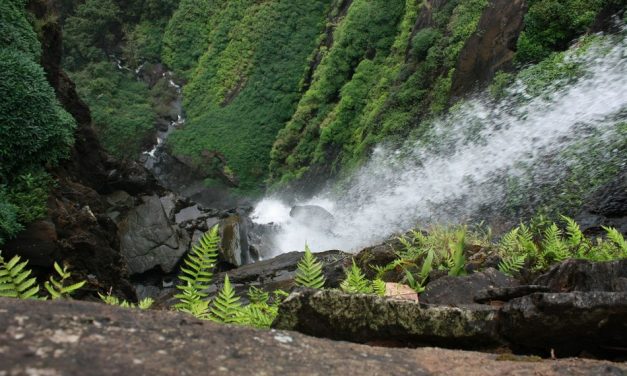 ನಾವೇ ಅರಿಯದ ಬಳಿಯ ಜಲಪಾತಗಳು:ಮುನವ್ವರ್ ಪರಿಸರ ಕಥನ