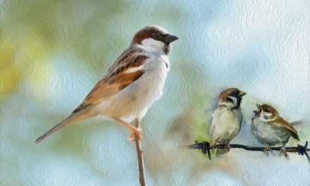 ’ಕಾಳಿಯ ಬಗಲಲ್ಲಿ’:ನಾಗರೇಖಾ ಗಾಂವಕರ  ಬರೆದ ಸಣ್ಣ ಕಥೆ