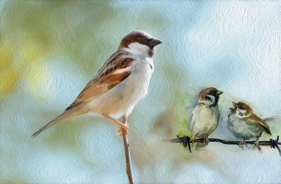 ’ಕಾಳಿಯ ಬಗಲಲ್ಲಿ’:ನಾಗರೇಖಾ ಗಾಂವಕರ  ಬರೆದ ಸಣ್ಣ ಕಥೆ