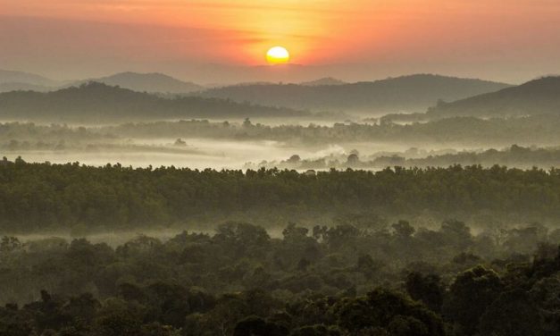 ಪ್ರವರ ಕೊಟ್ಟೂರು ತೆಗೆದ ಈ ದಿನದ ಚಿತ್ರ
