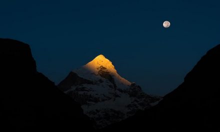 ಮಂಜುನಾಥ್ ಭಟ್ ತೆಗೆದ ಈ ದಿನದ ಚಿತ್ರ