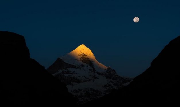 ಮಂಜುನಾಥ್ ಭಟ್ ತೆಗೆದ ಈ ದಿನದ ಚಿತ್ರ