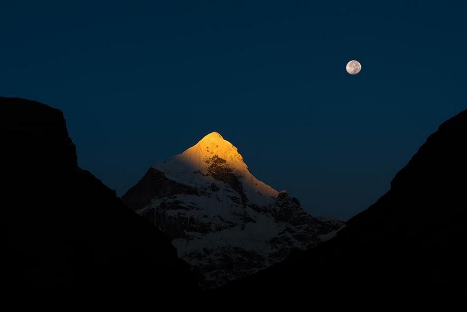 ಮಂಜುನಾಥ್ ಭಟ್ ತೆಗೆದ ಈ ದಿನದ ಚಿತ್ರ