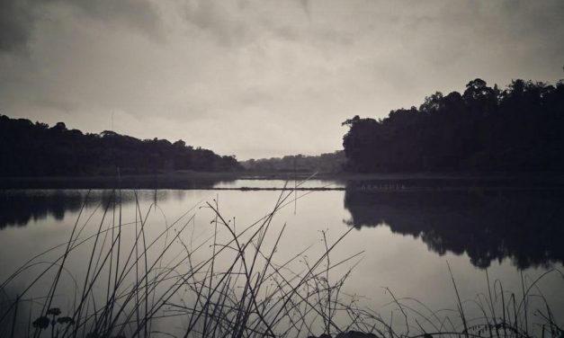 ಅಭಿಷೇಕ್ ವಿ.ಜಿ. ತೆಗೆದ ಈ ದಿನದ ಚಿತ್ರ