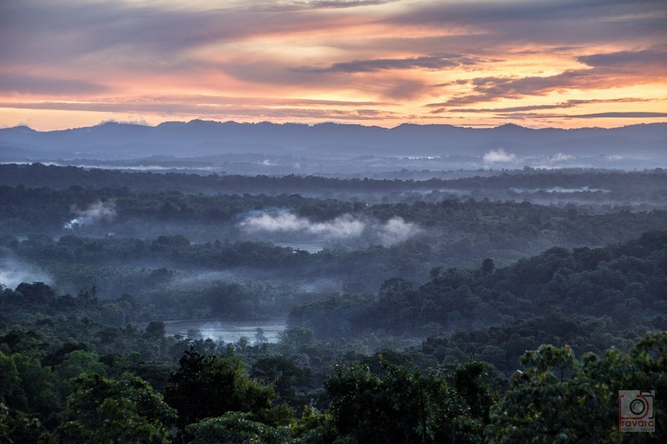 ಪ್ರವಾಸವೆಂಬ ‘ದರ್ಶನ’:ಸುಜಾತಾ ತಿರುಗಾಟ ಕಥನ