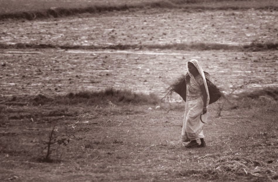 ರಾಣಿಯ ರಾಜ್ಯದಲ್ಲಿ ಅತಿವೃಷ್ಟಿ ಅನಾವೃಷ್ಟಿ ರಾದ್ಧಾಂತಗಳು