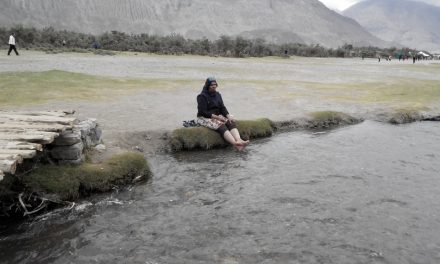 ಏನೇನೋ ಕಂಡಮೇಲೂ ನಮ್ಮೂರೇ ನಮಗೆ ಮೇಲು:ಭಾರತಿ ಪ್ರವಾಸ ಲಹರಿ