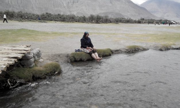 ಏನೇನೋ ಕಂಡಮೇಲೂ ನಮ್ಮೂರೇ ನಮಗೆ ಮೇಲು:ಭಾರತಿ ಪ್ರವಾಸ ಲಹರಿ