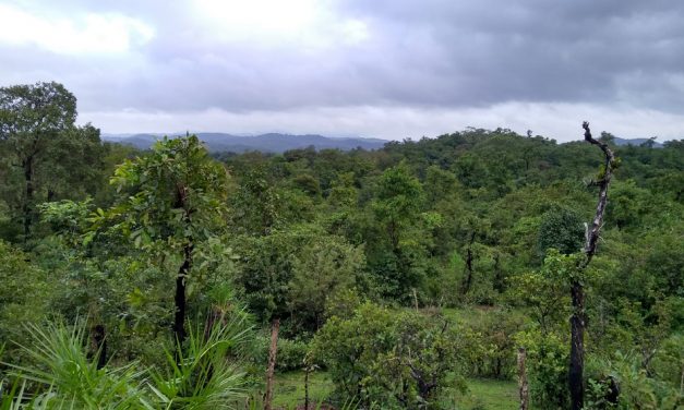 ಮಲೆನಾಡ ಮಳೆದಿನದ ಮಾತುಗಳು ಮೌನಗಳು