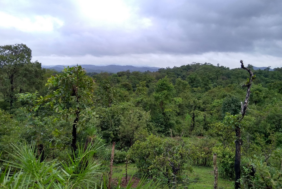 ಮಲೆನಾಡ ಮಳೆದಿನದ ಮಾತುಗಳು ಮೌನಗಳು