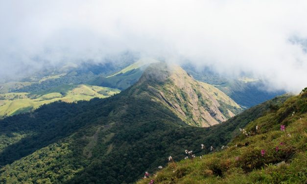 ವಿಪಿನ್ ಬಾಳಿಗ ತೆಗೆದ ಈ ದಿನದ ಚಿತ್ರ