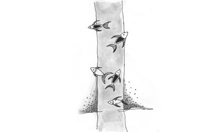 ಮಹಾಂತೇಶ್ ಆಧುನಿಕ್ ಬರೆದ ದಿನದ ಕವಿತೆ