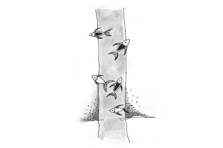 ಮಹಾಂತೇಶ್ ಆಧುನಿಕ್ ಬರೆದ ದಿನದ ಕವಿತೆ