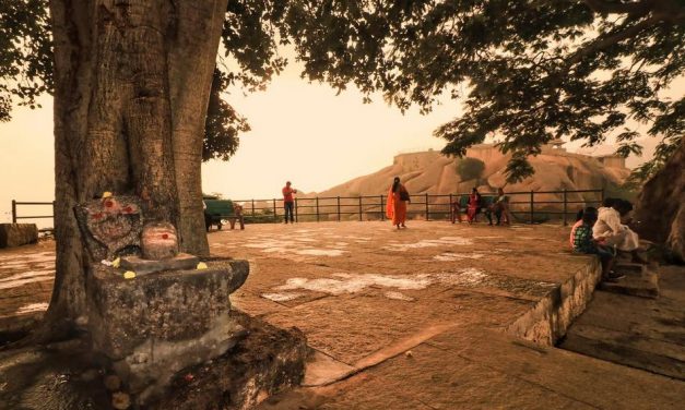 ಪ್ರಶಾಂತ್ ತೆಗೆದ ಈ ದಿನದ ಚಿತ್ರ